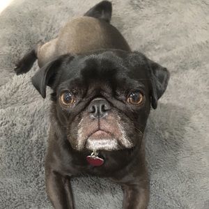 Meet your Posher, Claudia